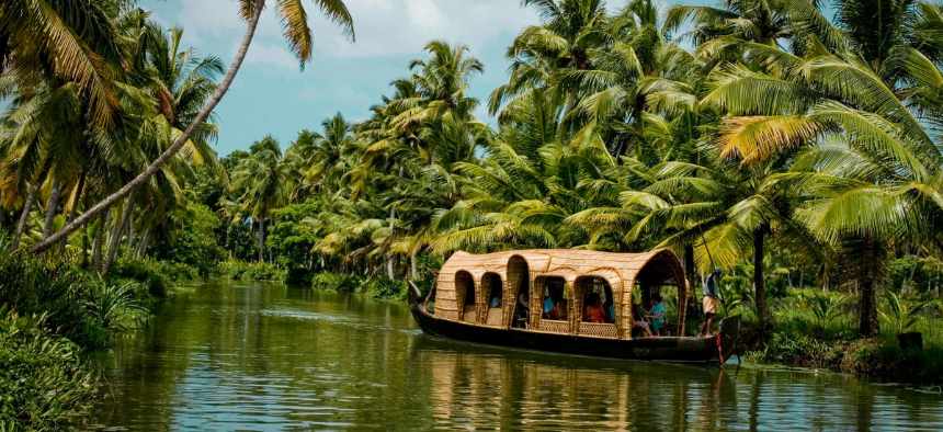 Indische Frauen auf einer Teeplantage